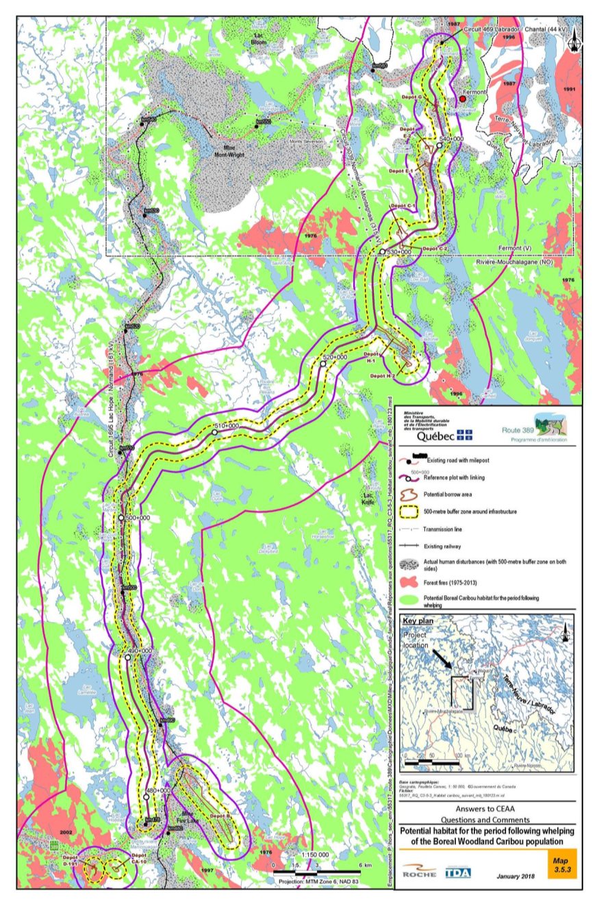 Figure 14: Potential Boreal Caribou habitat for the post-calving (post-whelping) period