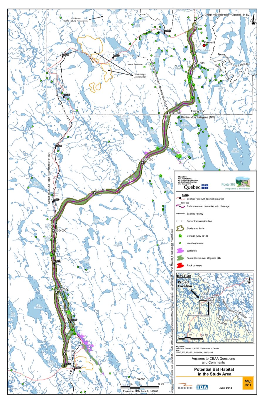 Figure 17: Potential bat habitat in the study area