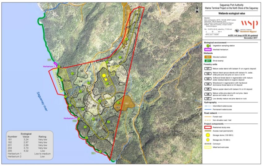 Figure 9: Wetlands and forest stands in the limited study area