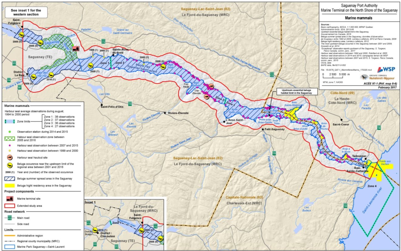 Figure 11: Presence of the St. Lawrence beluga and the harbour seal in the Saguenay River