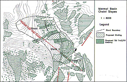 Figure 2: Eagle Ridge Chalet Slopes. Showing Proposed Glading and Ski Runs