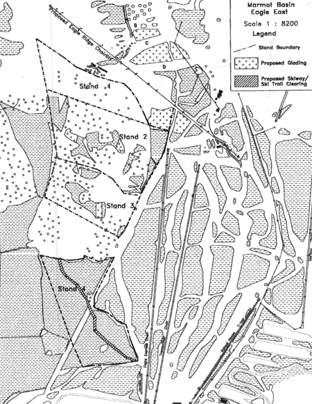 Figure 3: Eagle Ridge, Eagle East. Showing Proposed Glading and Skiway.